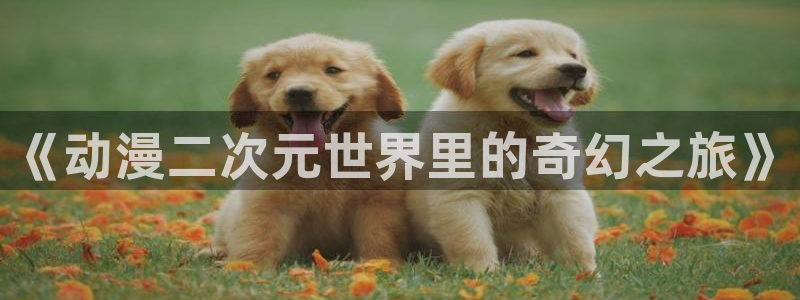 里番漫画网
