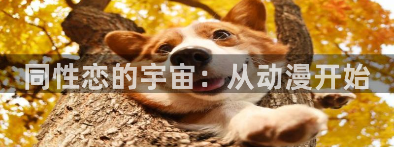 3d里番动漫大全
