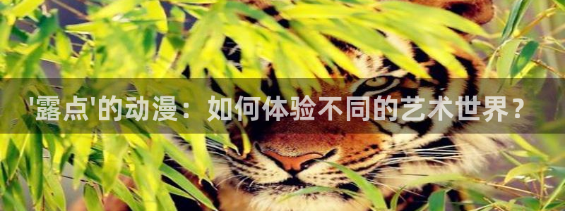 里番动漫片