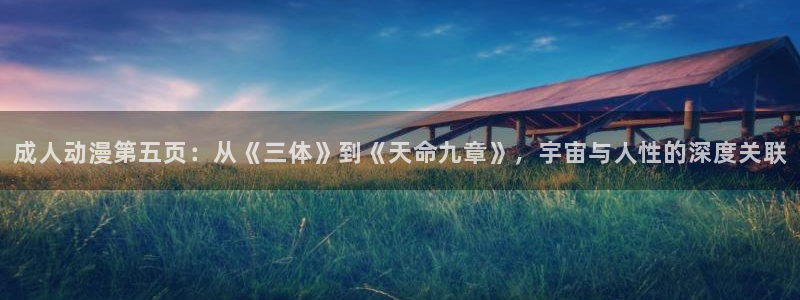 看里番