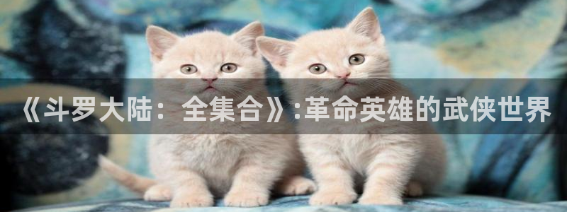 里番动漫在线播放网站：《斗罗大陆：全集合》:革命英雄的武侠世界