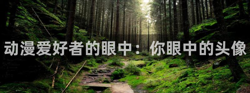 里番动漫看：动漫爱好者的眼中：你眼中的头像