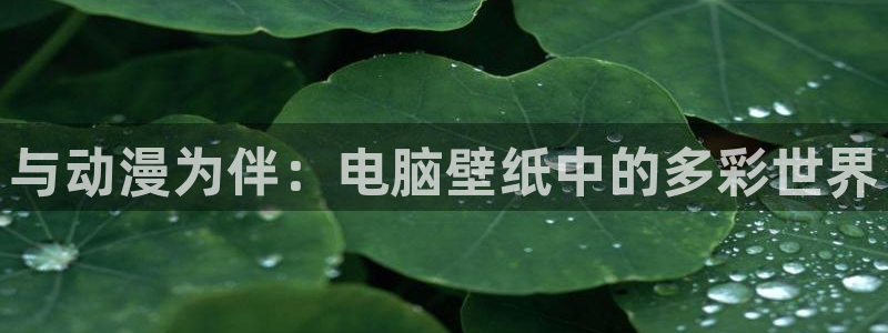 看里番漫画平台：与动漫为伴：电脑壁纸中的多彩世界
