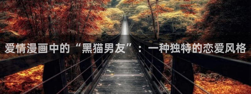 工口里番动漫：爱情漫画中的“黑猫男友”：一种独特的恋爱风格