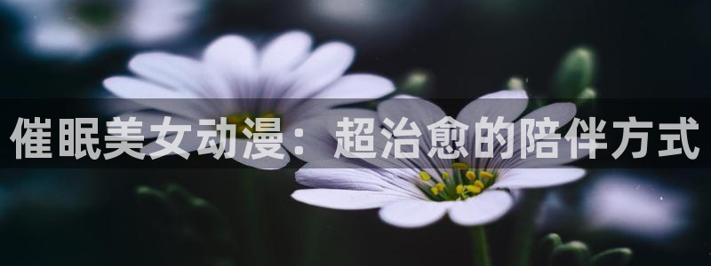 动漫里番工口：催眠美女动漫：超治愈的陪伴方式