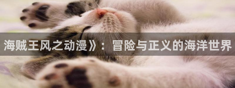 海外里番动漫：海贼王风之动漫》：冒险与正义的海洋世界