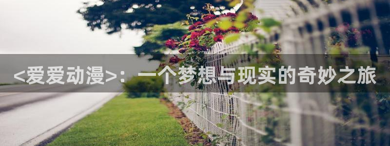 acg漫画全彩里番：<爱爱动漫>：一个梦想与现实的奇妙之旅