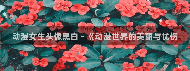 里番日本动漫推荐：动漫女生头像黑白 - 《动漫世界的美丽与忧伤