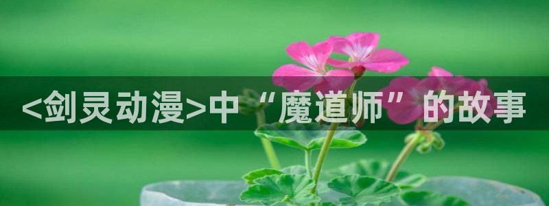 里番动漫观看在线：<剑灵动漫>中“魔道师”的故事
