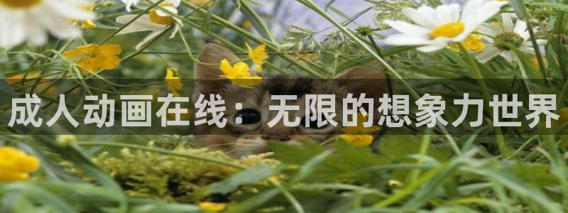 旧里番动画：成人动画在线：无限的想象力世界