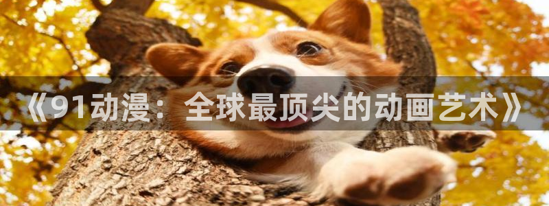 里番动漫哪找：《91动漫：全球最顶尖的动画艺术》