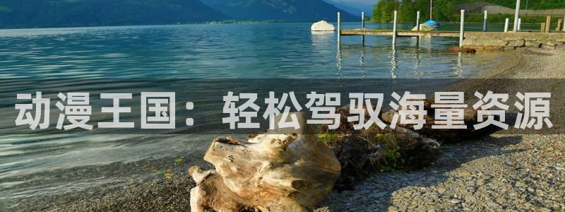 3d里番动漫在线网站：动漫王国：轻松驾驭海量资源