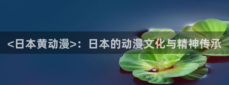 日漫 里番：<日本黄动漫>：日本的动漫文化与精神传承
