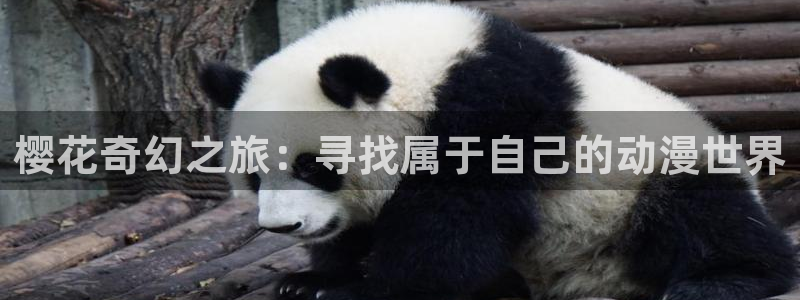 同人动漫里番：樱花奇幻之旅：寻找属于自己的动漫世界