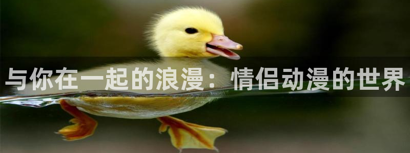 里番好看的动漫：与你在一起的浪漫：情侣动漫的世界