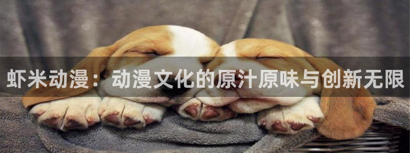里番动漫在线观看视频：虾米动漫：动漫文化的原汁原味与创新无限