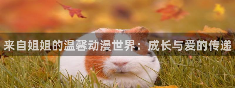 最新里番动漫推荐：来自姐姐的温馨动漫世界：成长与爱的传递