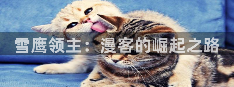 第一动漫里番：雪鹰领主：漫客的崛起之路