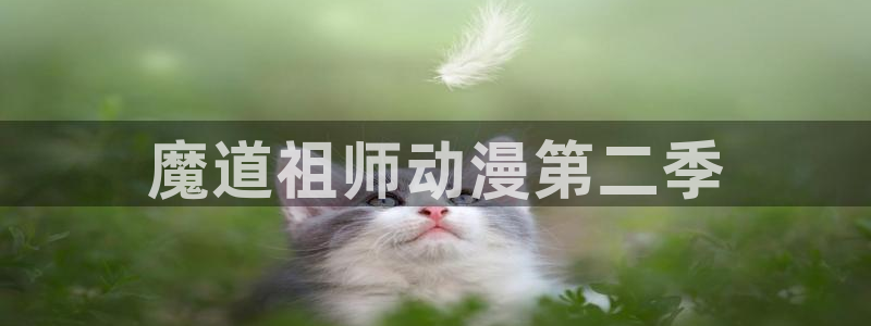 看里番动漫的软件