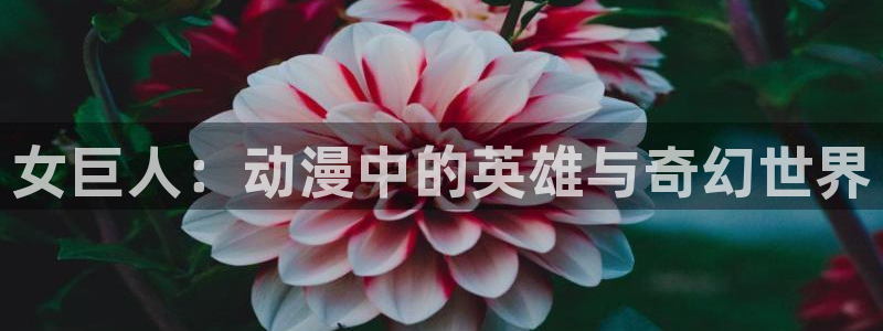 日本动漫里番推荐