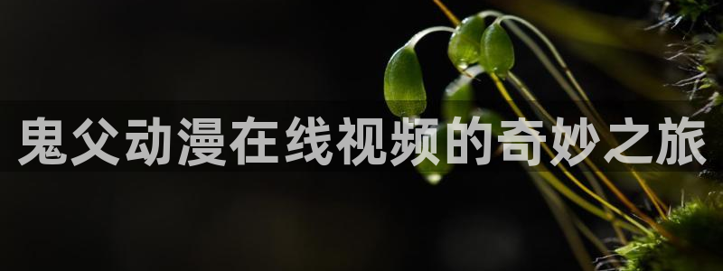 动漫里番观看