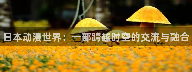 日本动漫里番在线观看：日本动漫世界：一部跨越时空的交流与融合