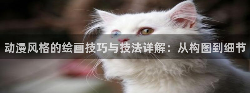 里番动漫在线：动漫风格的绘画技巧与技法详解：从构图到细节