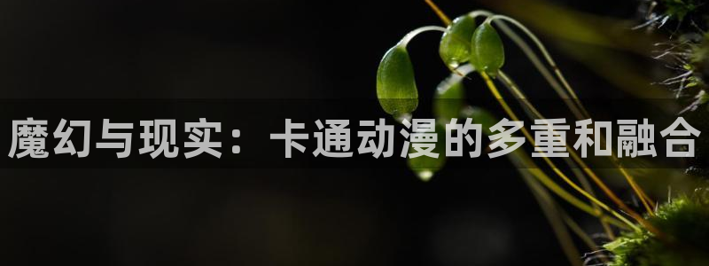 里番动漫伦理片：魔幻与现实：卡通动漫的多重和融合